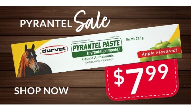 Pyrantel dewormer sale