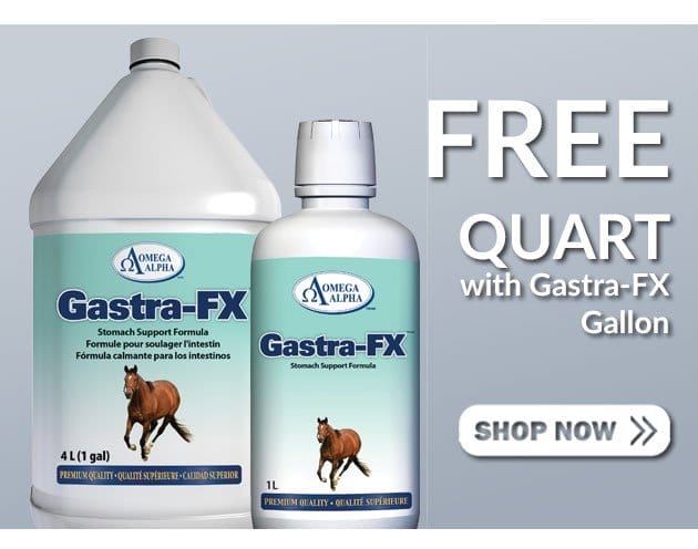 Free quart with gastra fx gallon