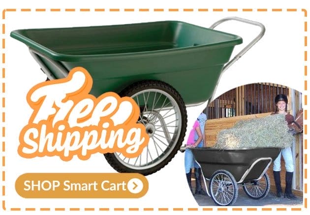Free shipping on smart cart
