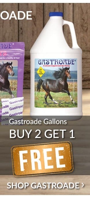 Gastroade gallons - buy 2 get 1 free
