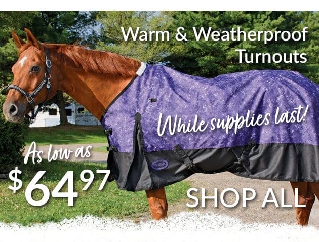 STurnout blanket sale