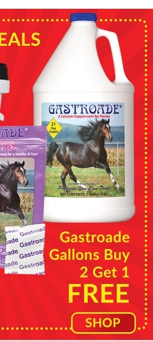 Gastroade - buy 2 get 1 free