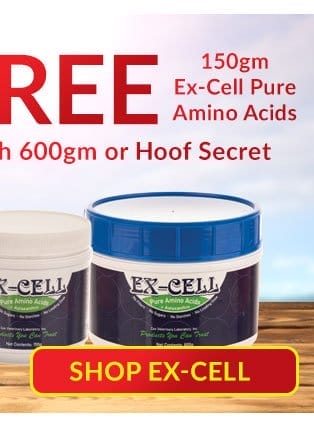 Free 150gm excell amino acids powder with purchase of 600gm