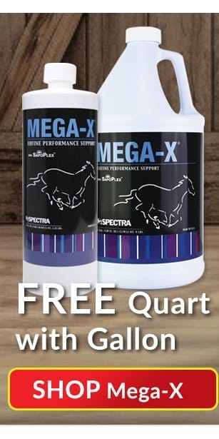 Spectra mega x deal