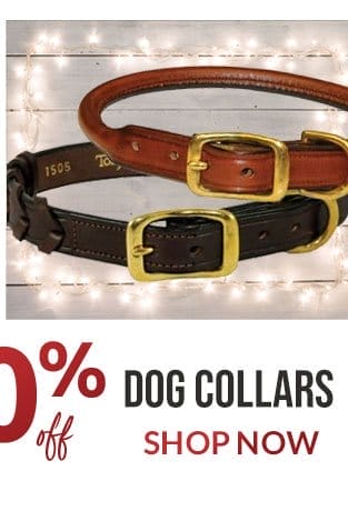 Dog collar sale