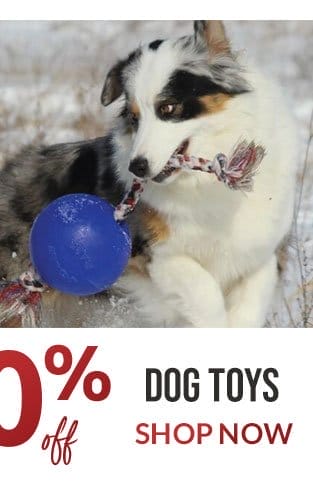 Dog toy sale