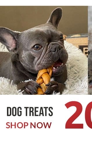 Dog treat sale