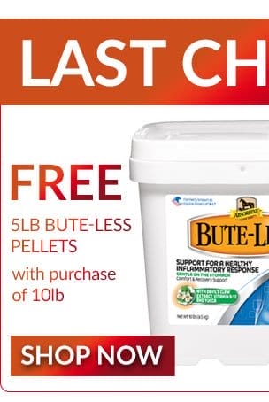 Bute less pellets special deal