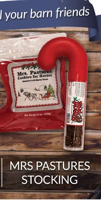 Mrs pastures holiday treat stocking