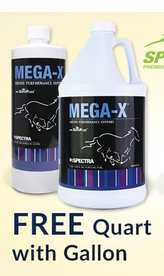 Free quart with spectra mega x gallons