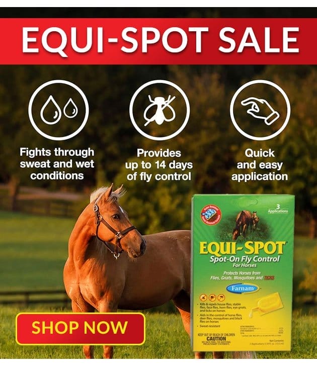 Equispot fly control sale