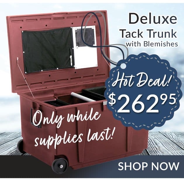 Deluxe Tack Trunk