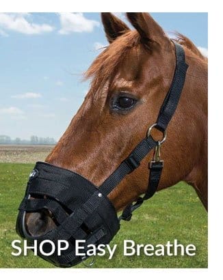 Easy breathe muzzle