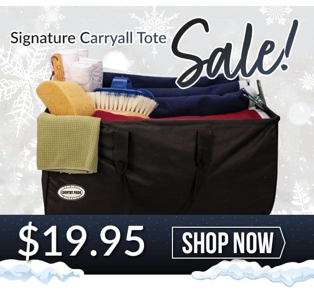 Carry all horsemens tote sale