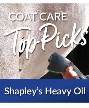 Shapleys heavy oil