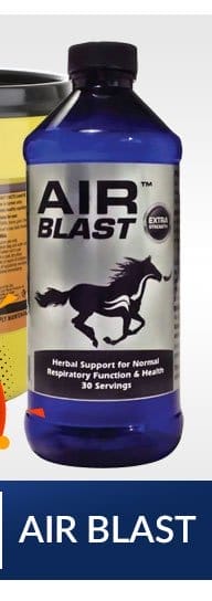 Air blast sale