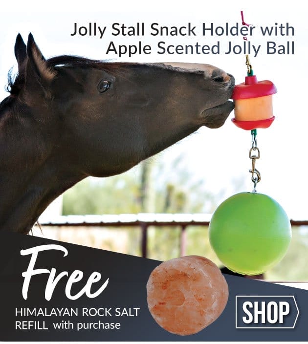 free extra rock salt refill with Stall snack holder with jolly ball