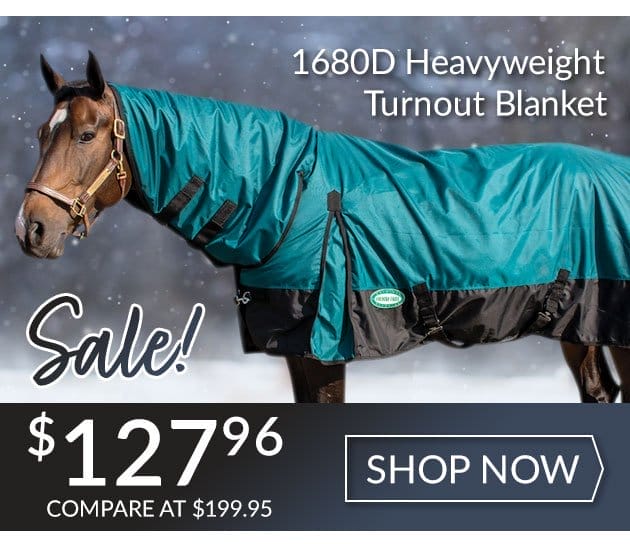 Gale force blanket sale