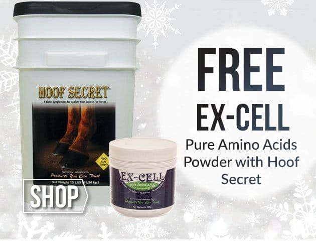 Free excell amino acids powder with hoof secret