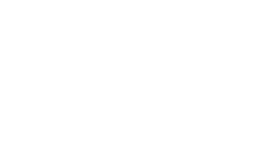 Big Fork Brands