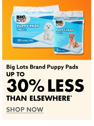 Big Lots Brand Puppy Pads 