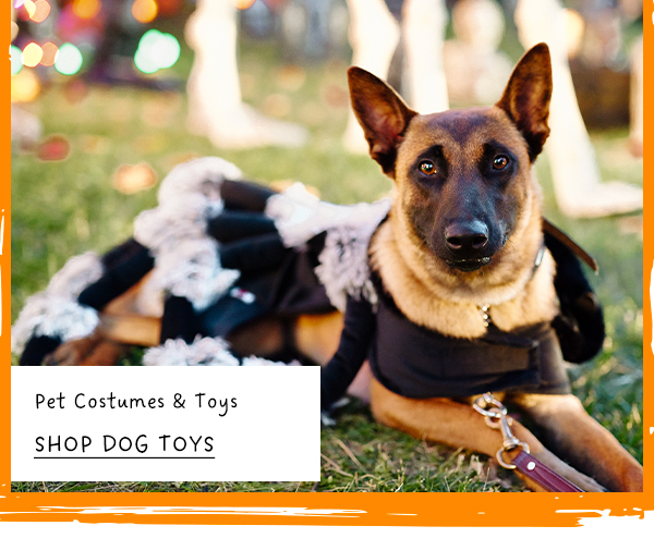 Pet Costumes & Toys