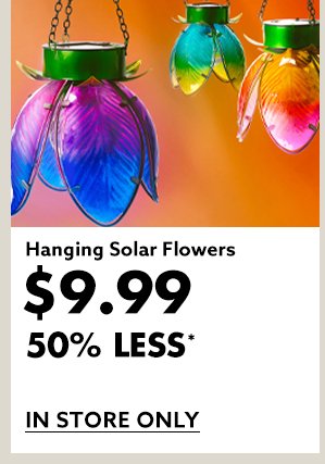 Hanging Solar Flowers