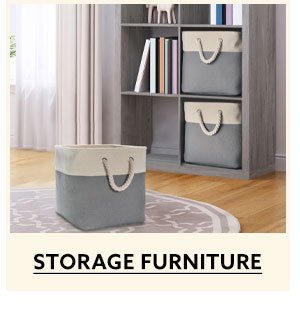 Storage Furniture