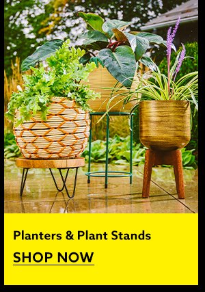 Planters & Plant Stands