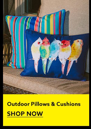 Outdoor Pillows & Cushions