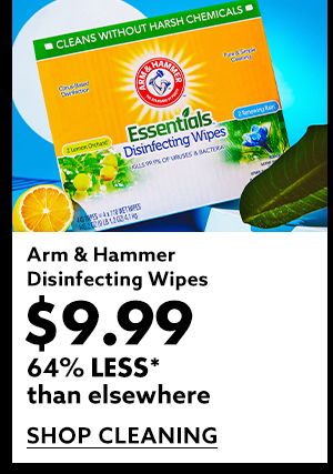 Arm & Hammer Disinfecting Wipes