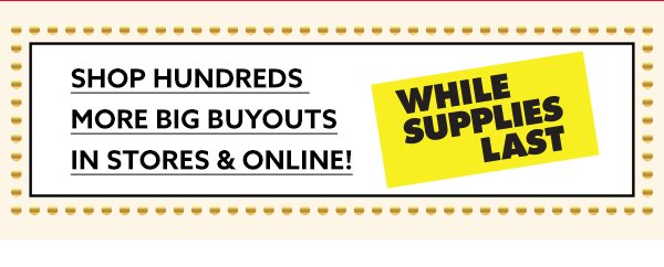 Shop Hundreds More Big Buyouts In Stores & Online! 