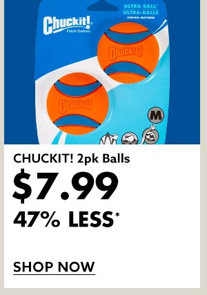 CHUCKIT! 2pk Balls