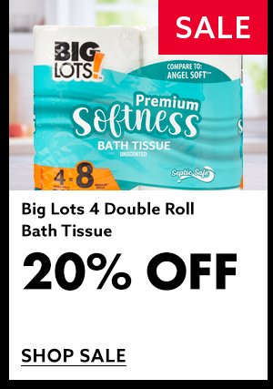 Big Lots Double Roll Bath Tissue