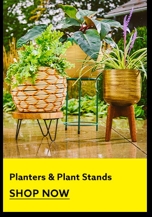 Planters & Plant Stands