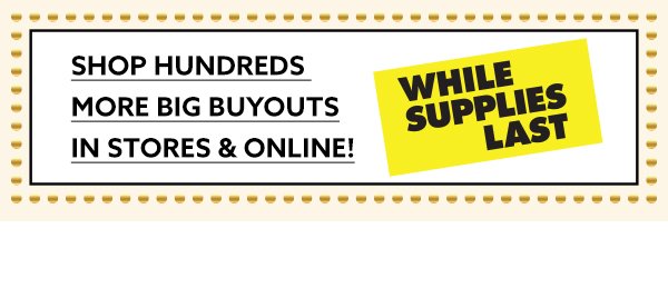 Shop Hundreds More Big Buyouts In Stores & Online! 