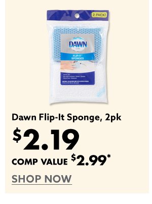 Dawn Flip-It Sponage 2pk