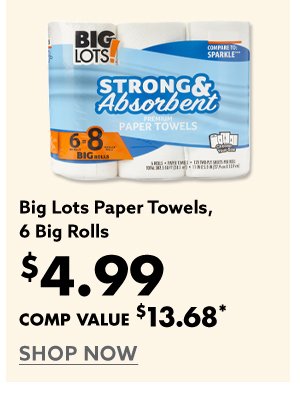 Big Lots Paper Towels, 6 Big Rolls