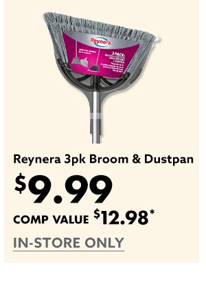 Reynera 3pk Broom & Dustpan 