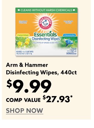 Arm & Hammer Discinfecting Wipes, 440ct