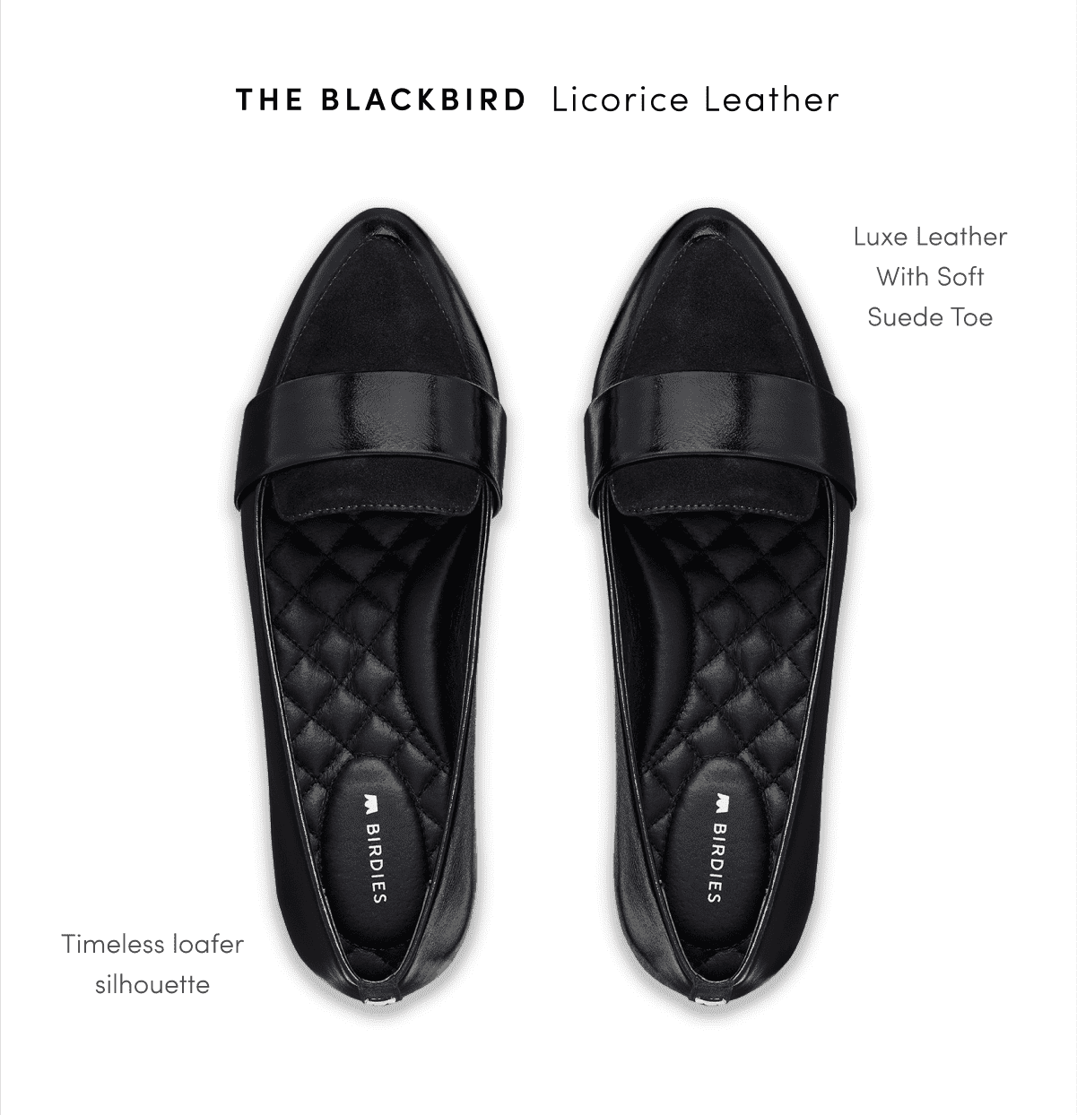 Blackbird Licorice Loafer