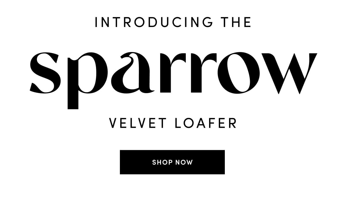 Introducing the Sparrow Velvet Loafer