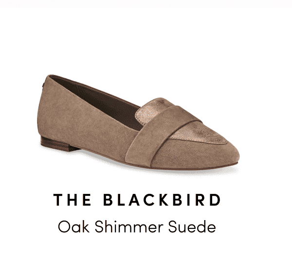 Blackbird in Oak Shimmer Suede