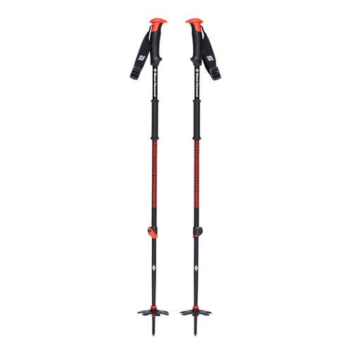 Image: Traverse Ski Poles