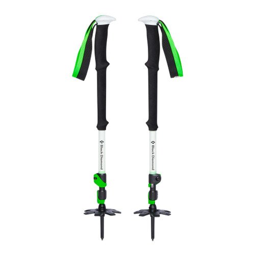 Image: Expedition 3 Ski Poles