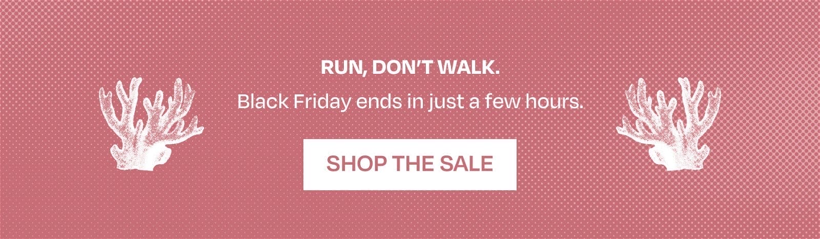 RUN, DON'T WALK. Black Friday ends in just a few hours.