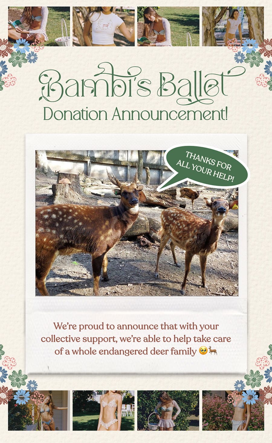 BAMBI'S BALLET DONATION ANNOUNCEMENT