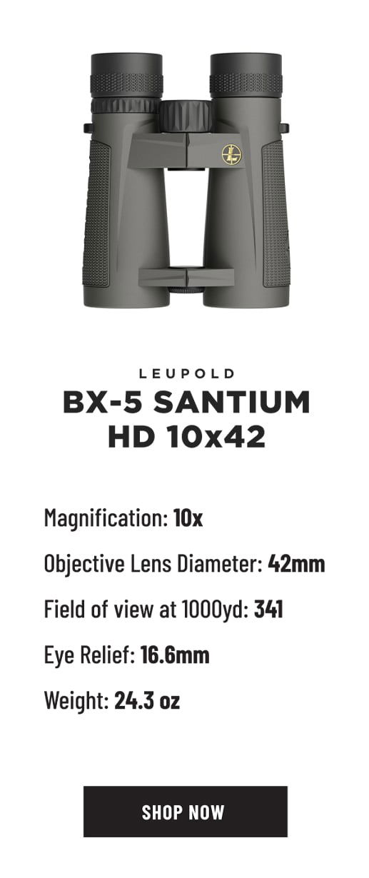 LEUPOLD BX-5 SANTIUM HD 10x42 BINOCULARS