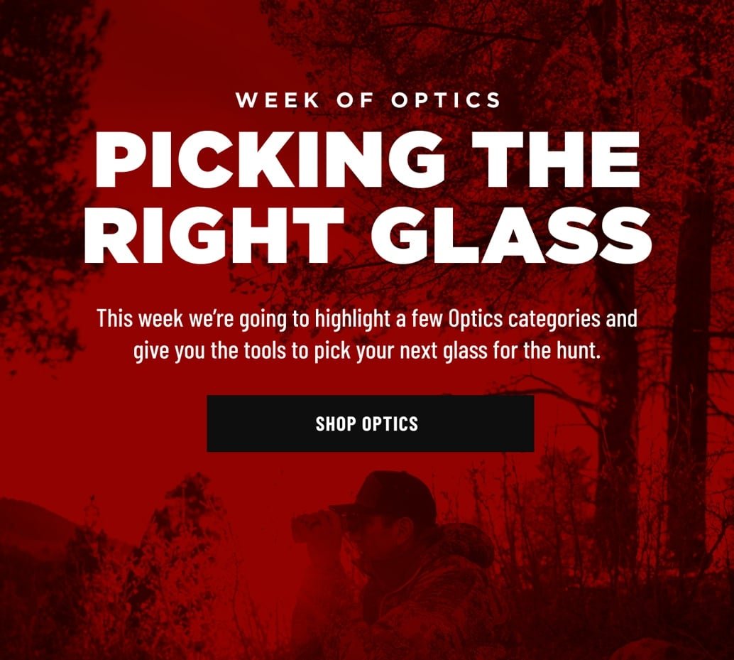 PICKING THE RIGHT GLASS