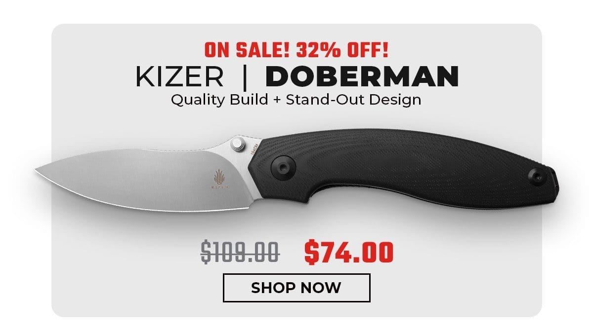 Kizer Doberman